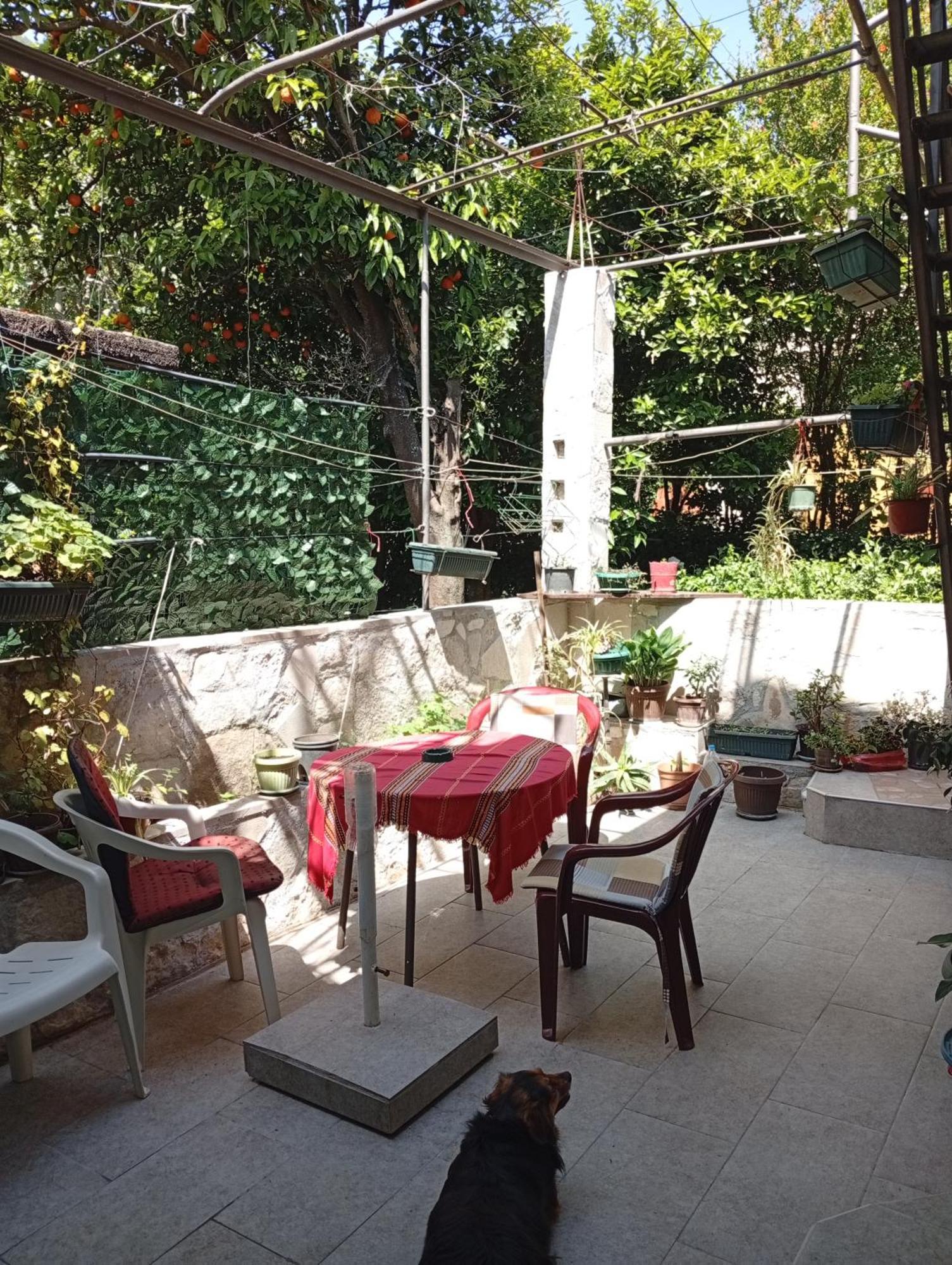 Apartment Radovic Kotor Exterior foto